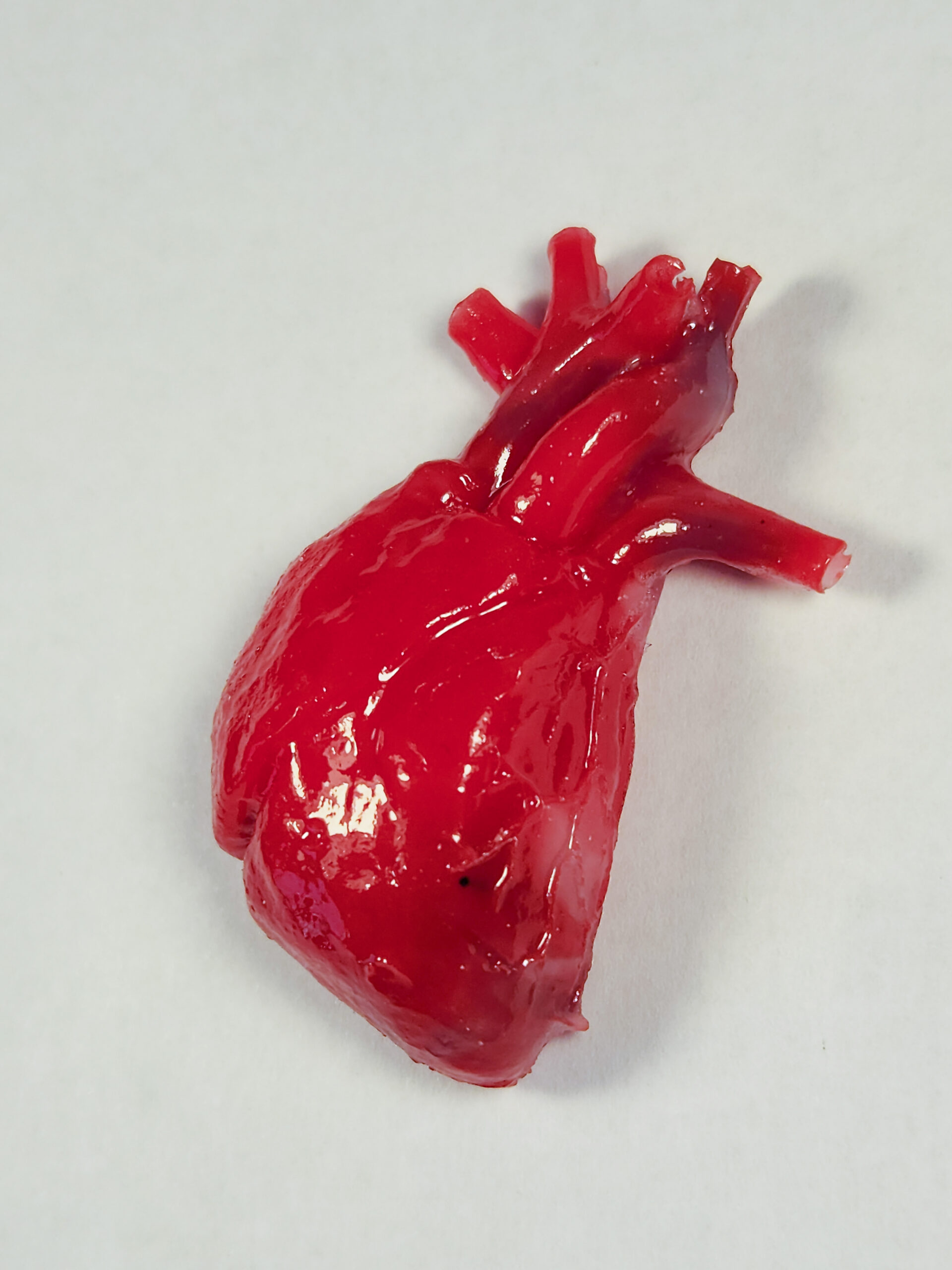 Bright red 3D anatomical heart with subtle white and blue highlights and a glossy finish.