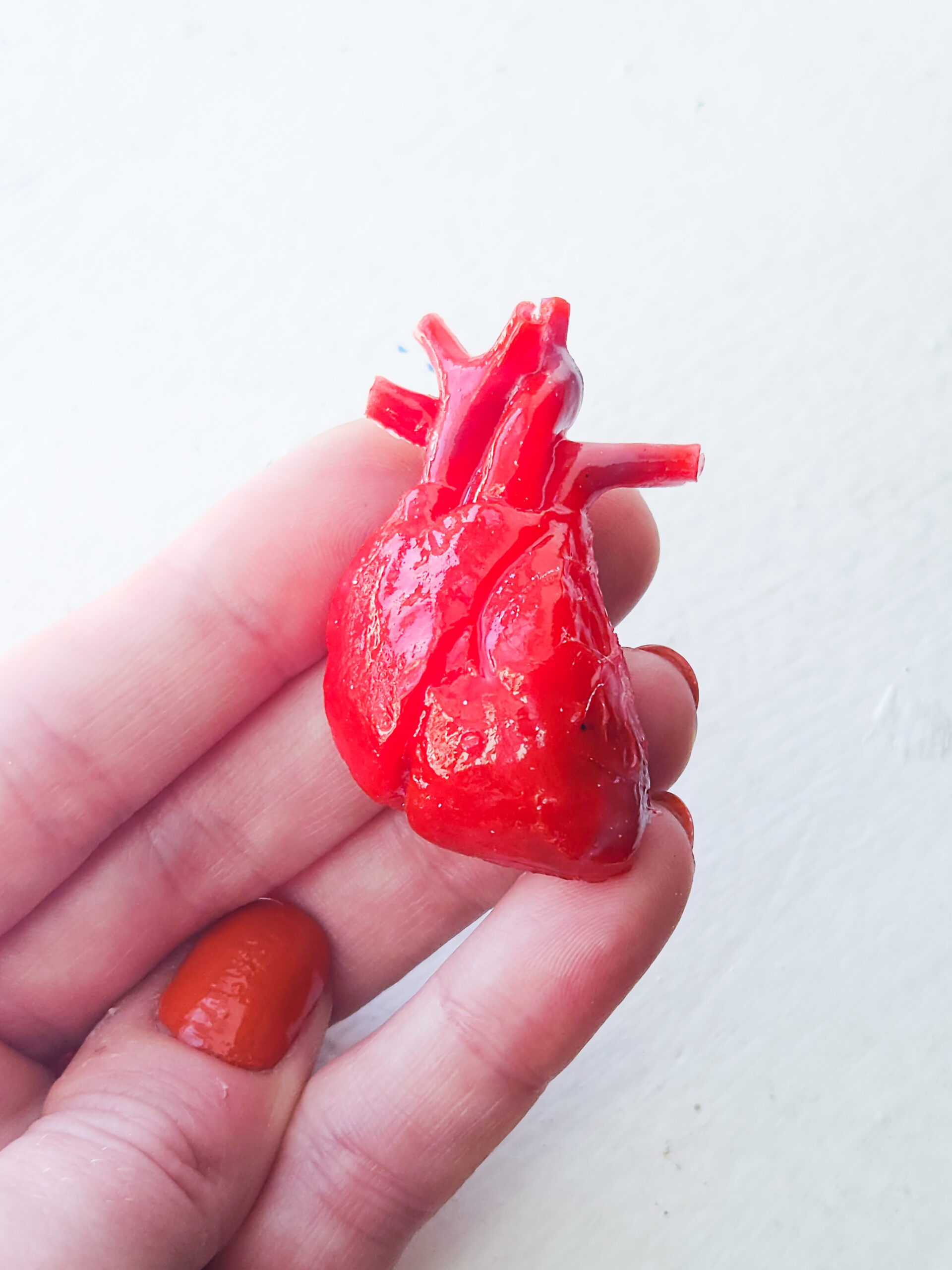 Bright red 3D anatomical heart held out in the sunlight showing the glossy finish.