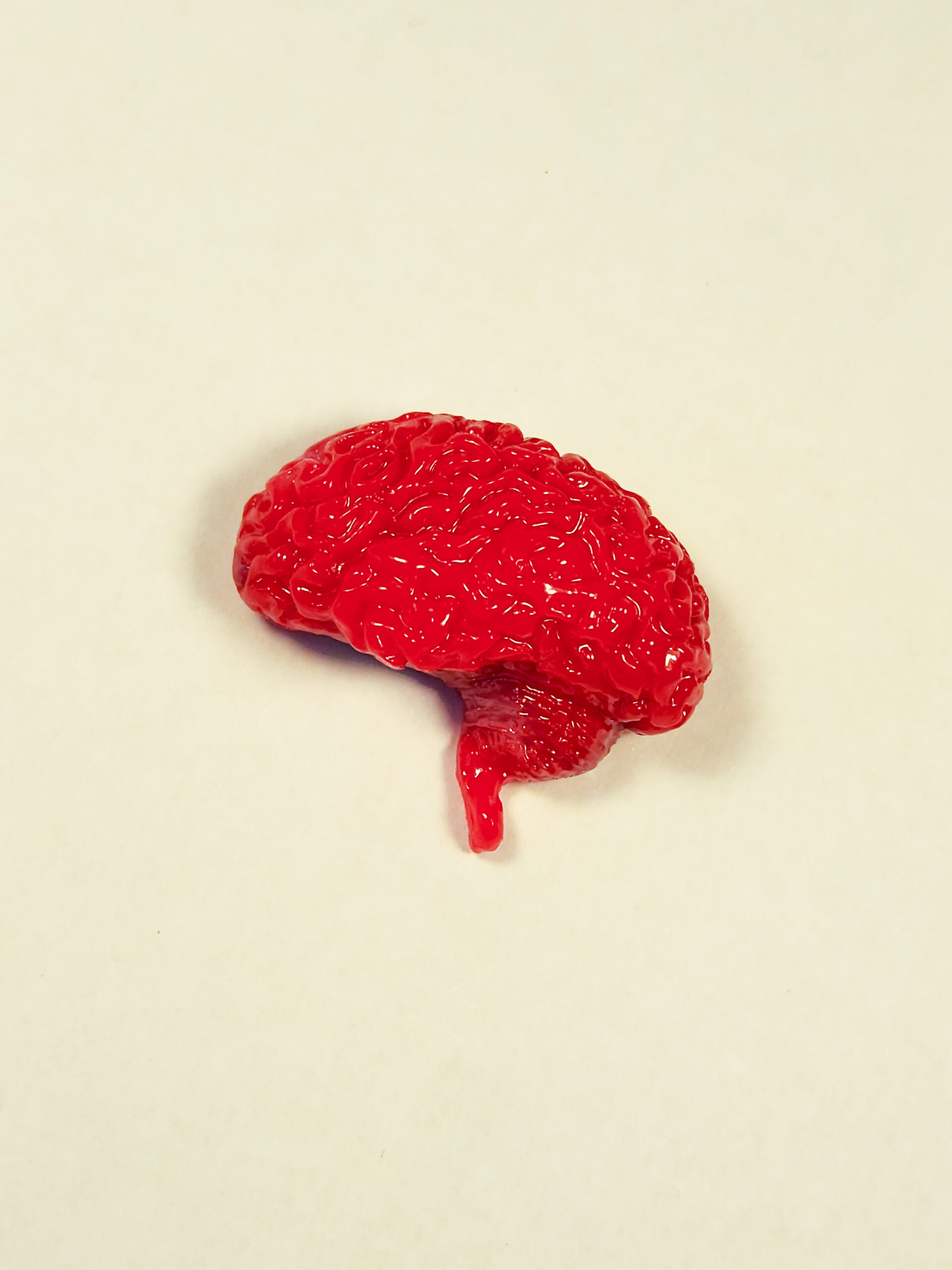 Glossy red brain profile magnet on white background.