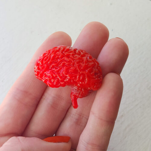 Glossy bright red opaque brain magnet held in natural light.