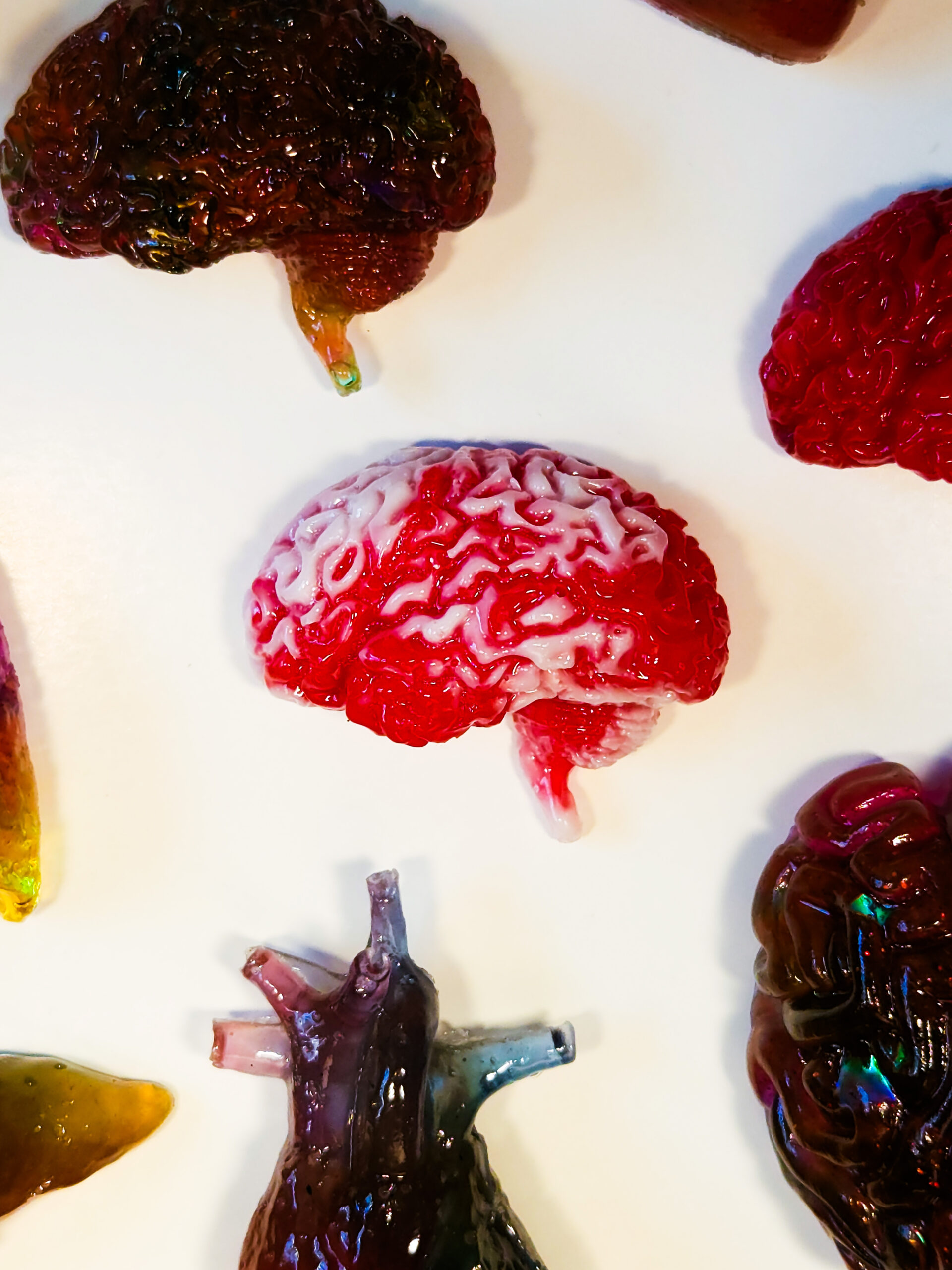 Red and white swirled human brain magnet on a white background, surrounded by the edges of other organ magnets.