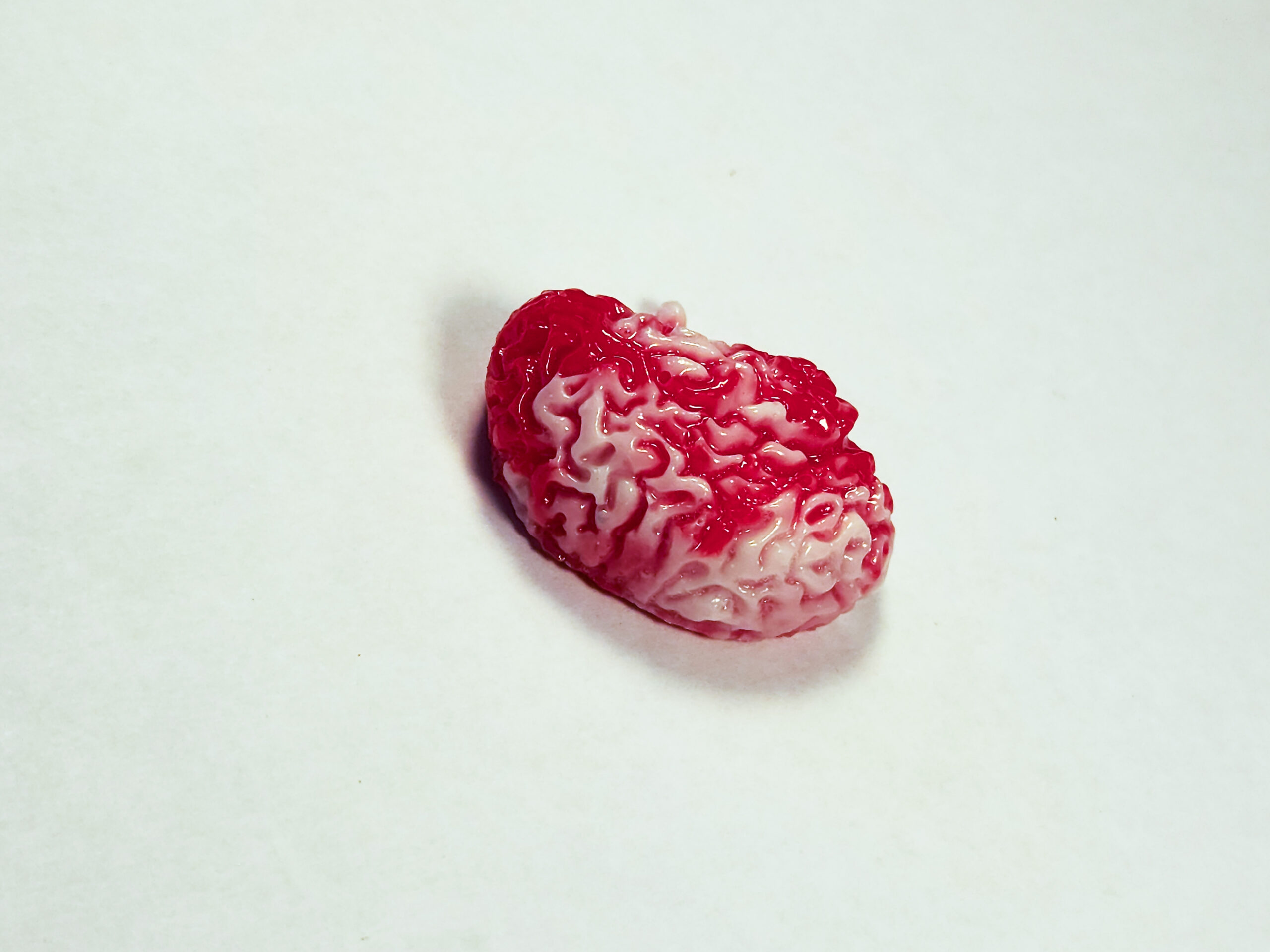 Photograph showing the top side brain shape, with the gyri highlighted in white against a red opaque core.