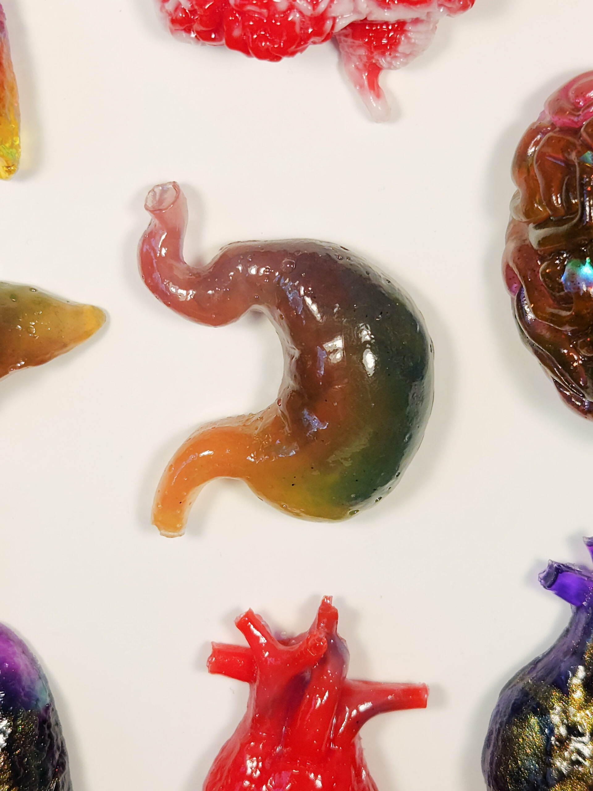 3D rainbow-colored stomach on a white background with peaks of other magnets surrounding the edges.