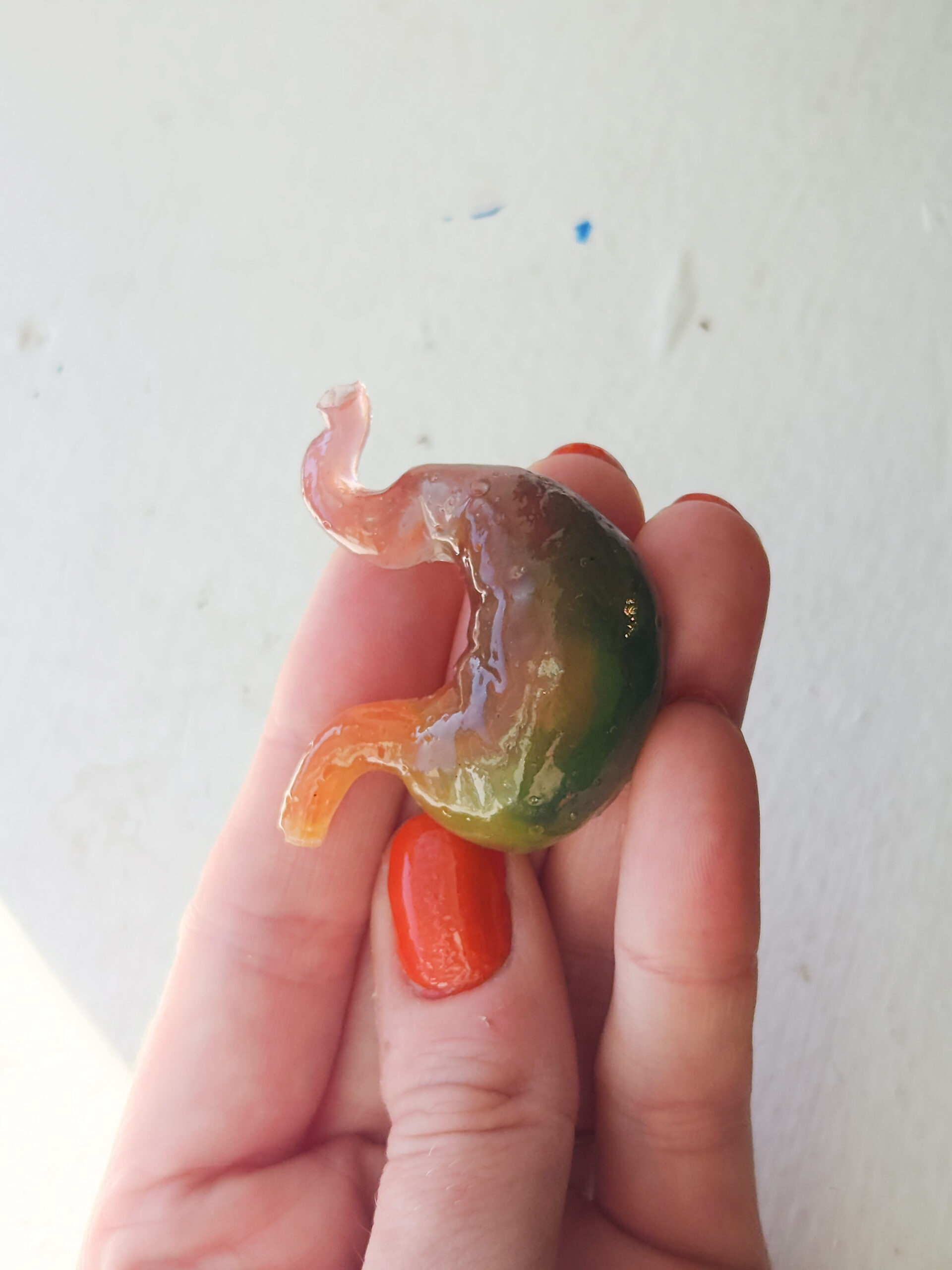 3D rainbow-colored stomach with a slight gloss sheen.