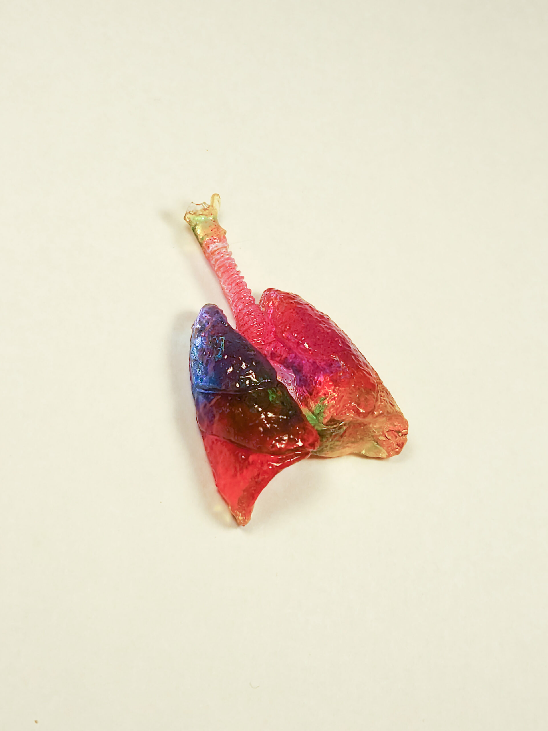 Glossy 3D human lungs magnet made of pink, yellow, and blue epoxy resin.