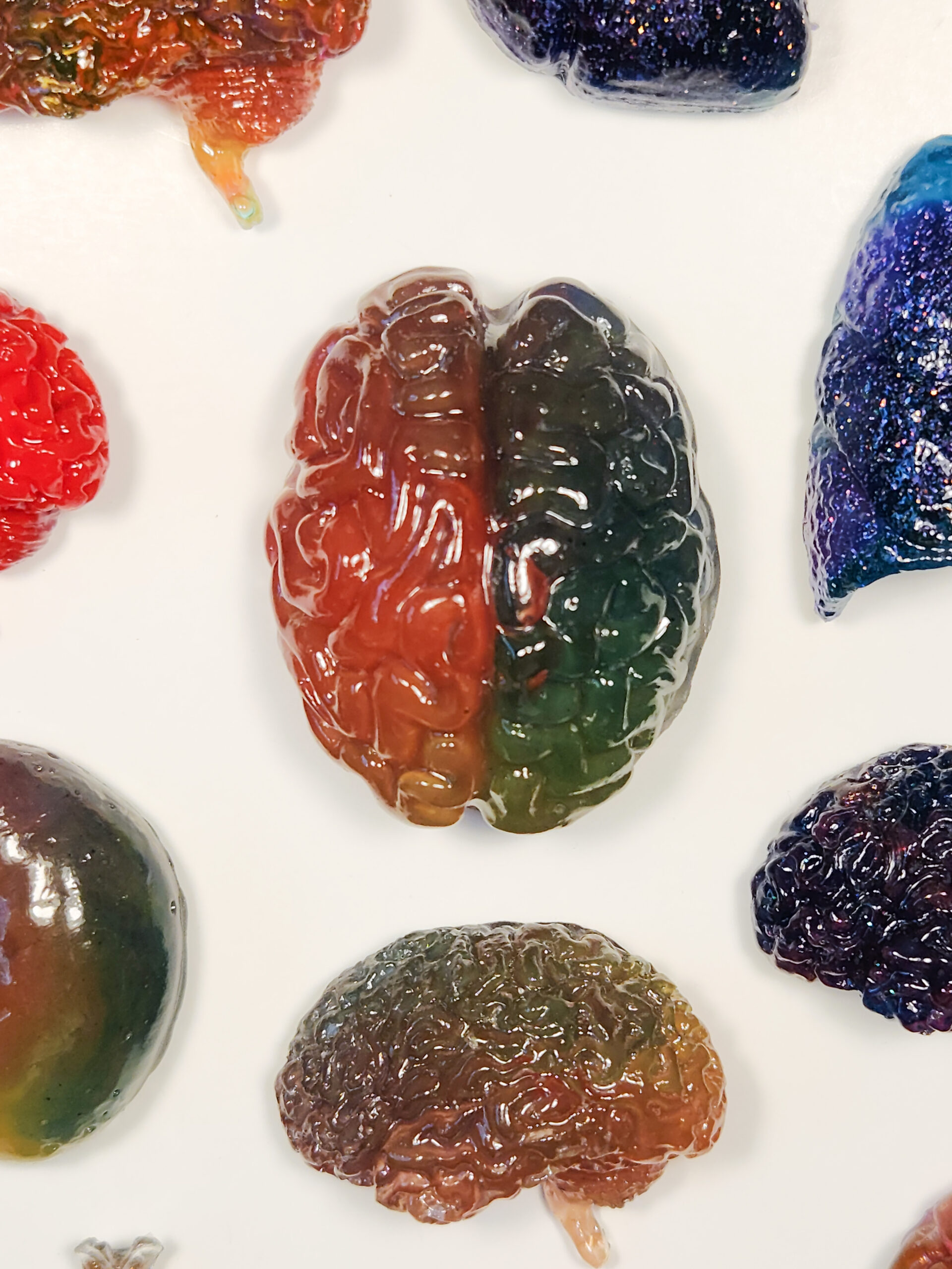 3D glossy resin brain magnet in a rainbow color gradient, with edges of other organ magnets surrounding it