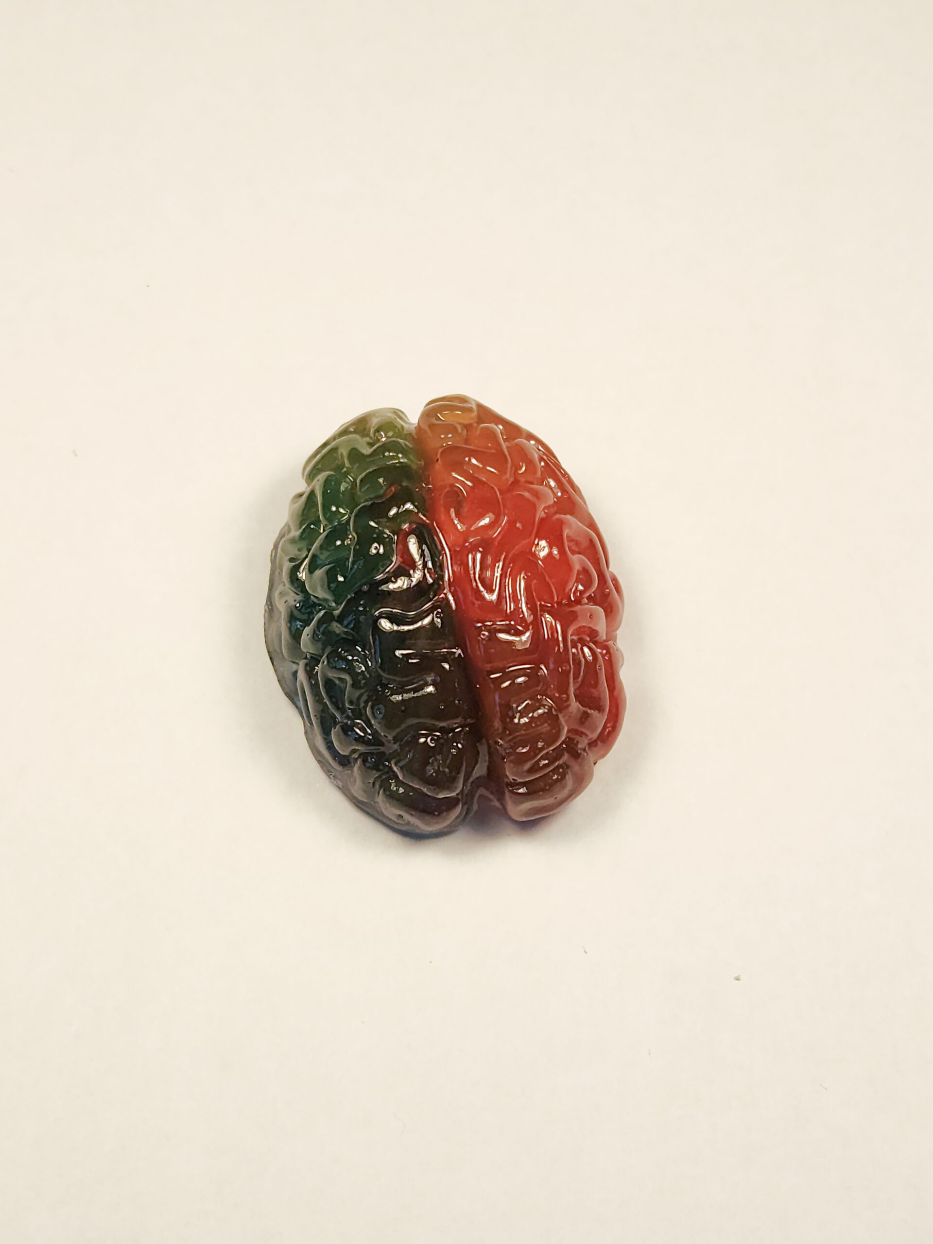 3D resin brain magnet showing one hemisphere in blue, green, and yellow, and the other hemisphere in red, orange, and yellow