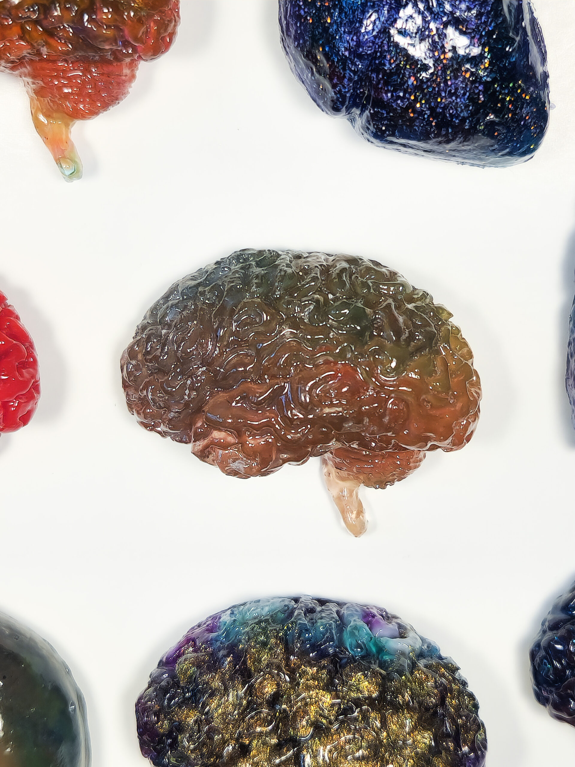 3D resin brain shape in a gradient of greenish blue at the top into in orangey red towards the brainstem, with edges of other organ magents surrounding it