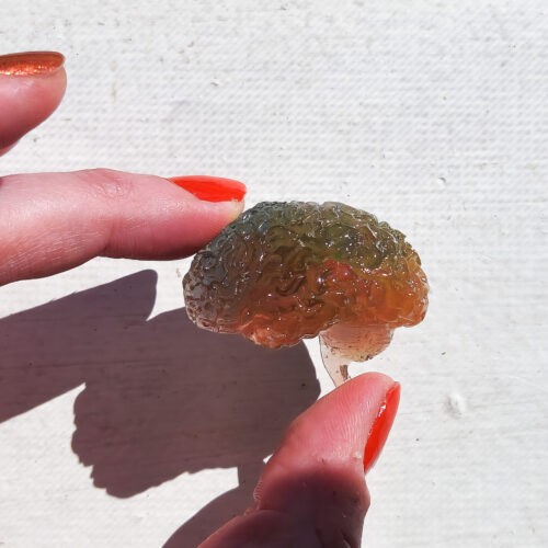 3D resin brain magnet being held out in the sunlight highlighting it's translucent rainbow color