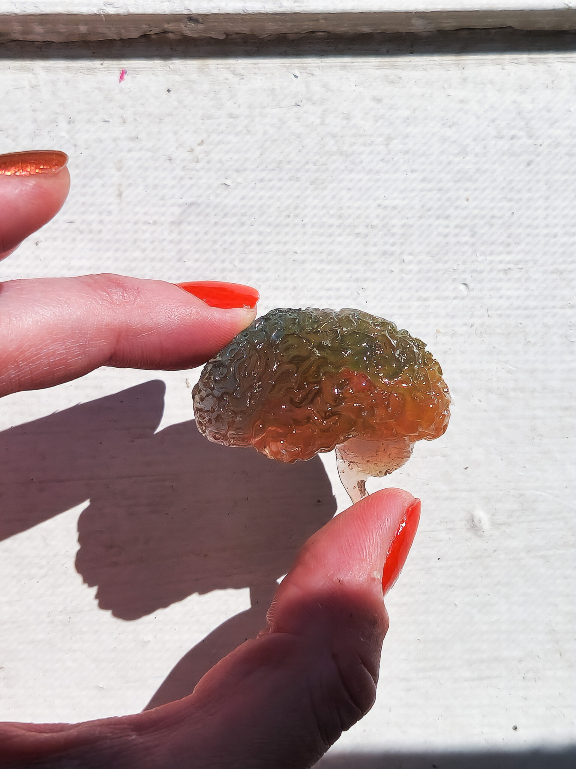 3D resin brain magnet being held out in the sunlight highlighting it's translucent rainbow color