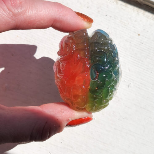 3D resin brain magnet being held out in the sunlight highlighting it's translucent rainbow color