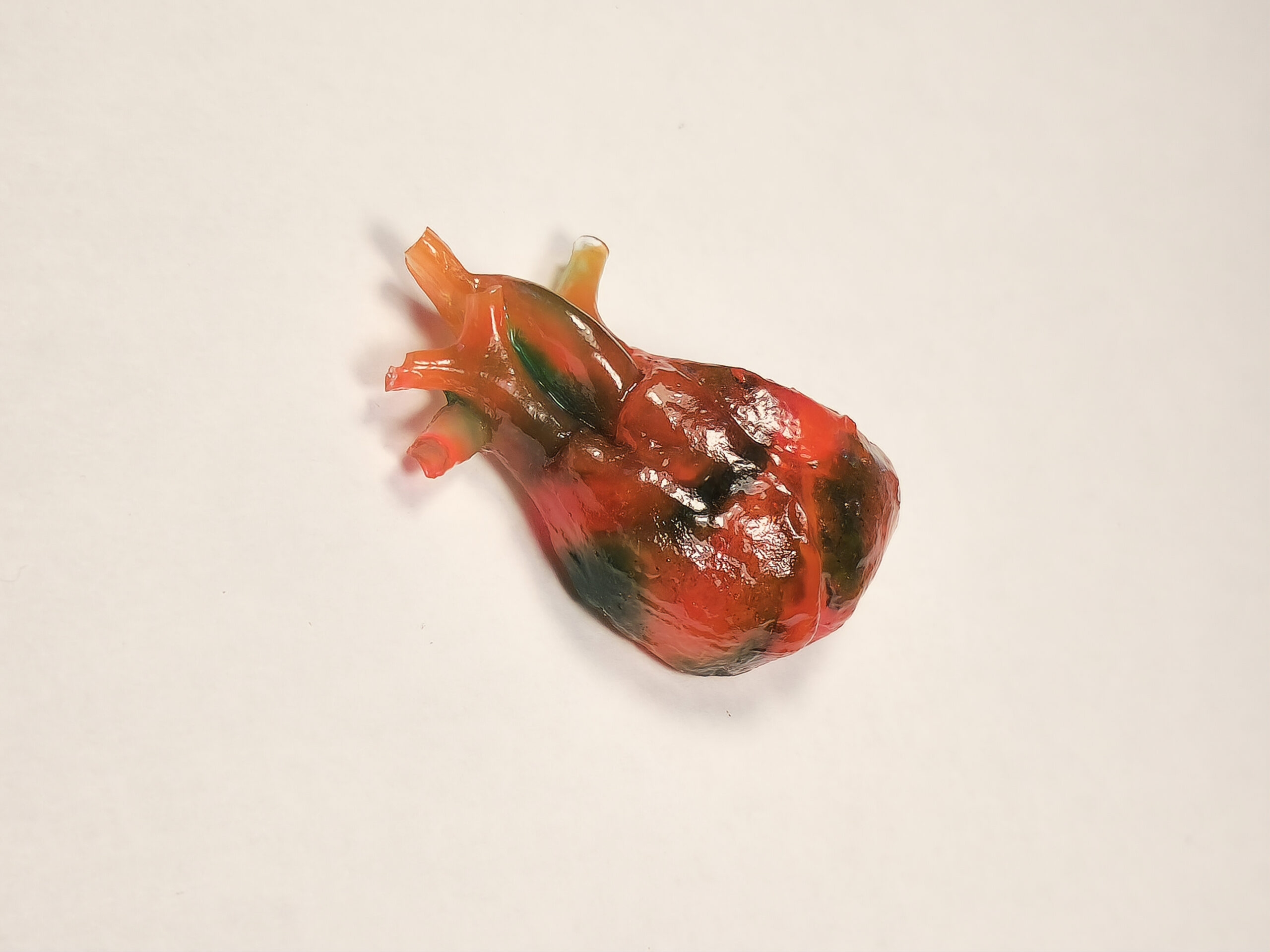 Side view of 3D anatomical heart magnet colored yellow, pink, and blue.