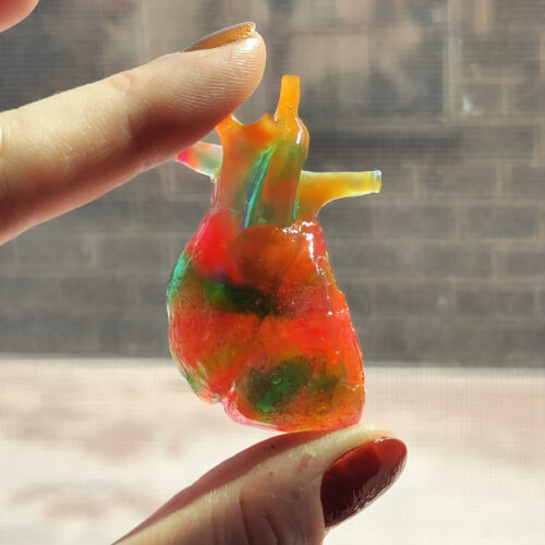 Anatomical heart shaped magnet held up to a window with the light shining through, showing the translucent pinkish yellow color and swatches of bright teal throughout.