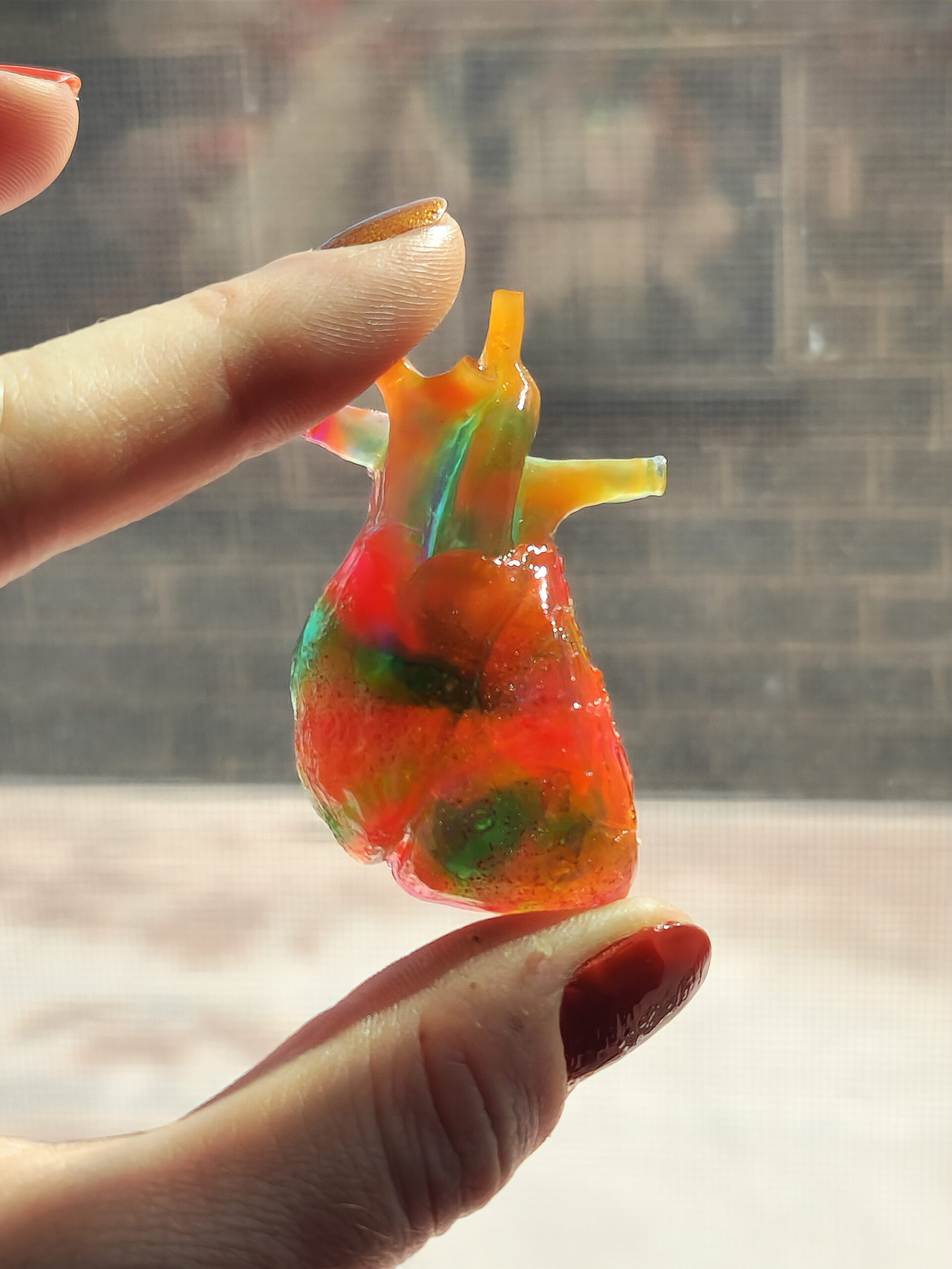 Anatomical heart shaped magnet held up to a window with the light shining through, showing the translucent pinkish yellow color and swatches of bright teal throughout.