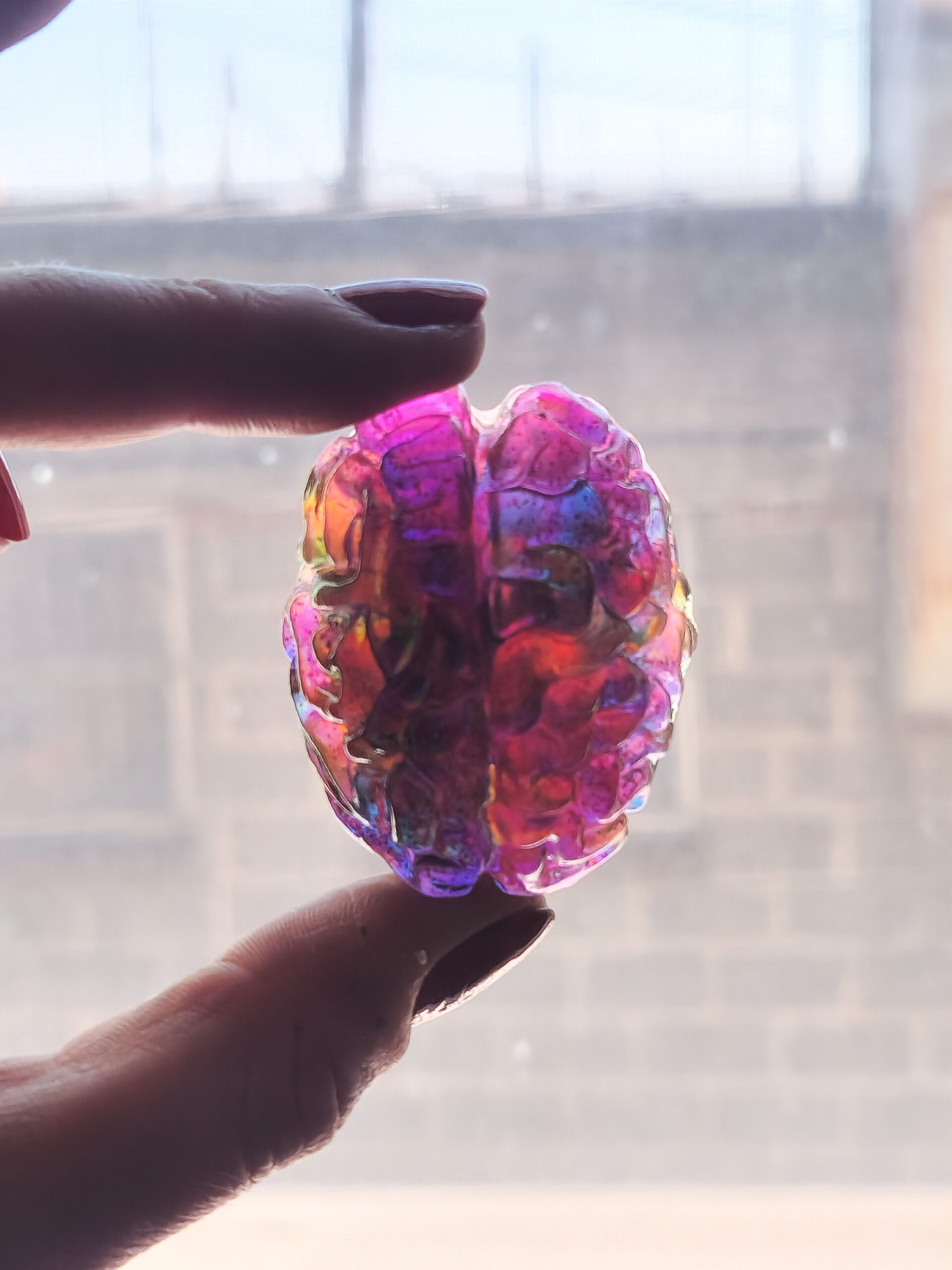 3D brain magnet held up to a window, showing it's translucent pink color and internal purple and yellow holographic flecks.