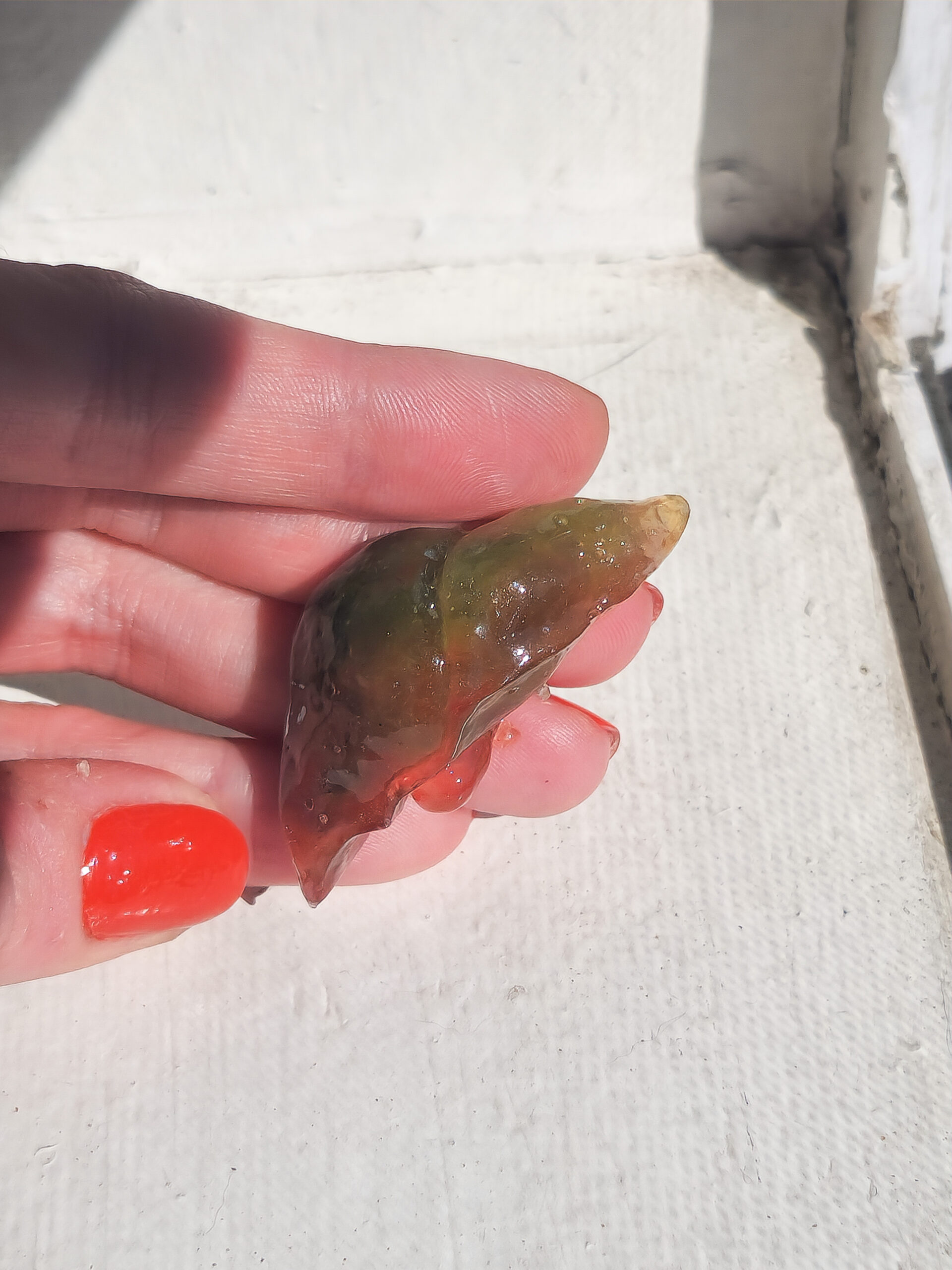 3D resin liver with a glossy sheen held out in the sun. Liver is translucent rainbow colored.