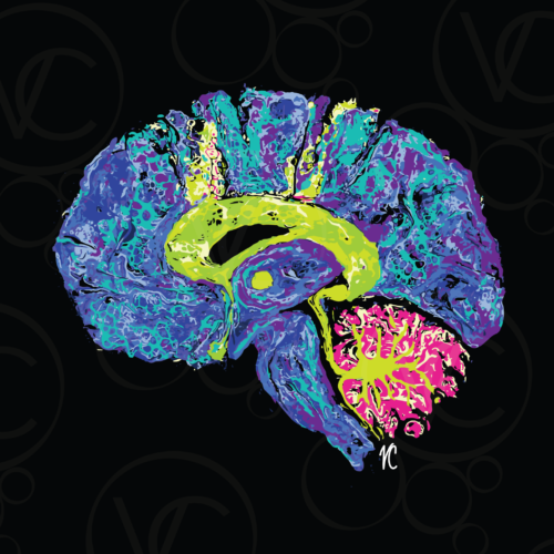 abstract digital human brain art, with the cortex and brainstem shown in blues, purples, and teals, the corpus callosum in bright greens, and the cerebellum and in pinkish red, all on a black background