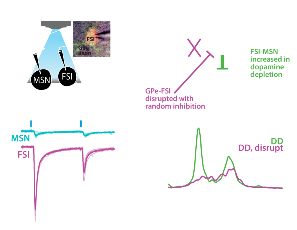 Corbit2016WebsiteAbstract