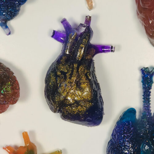 3D resin anatomical heart in translucent purple and bright gold shimmer glitter, surrounded by edges of other organ magnets