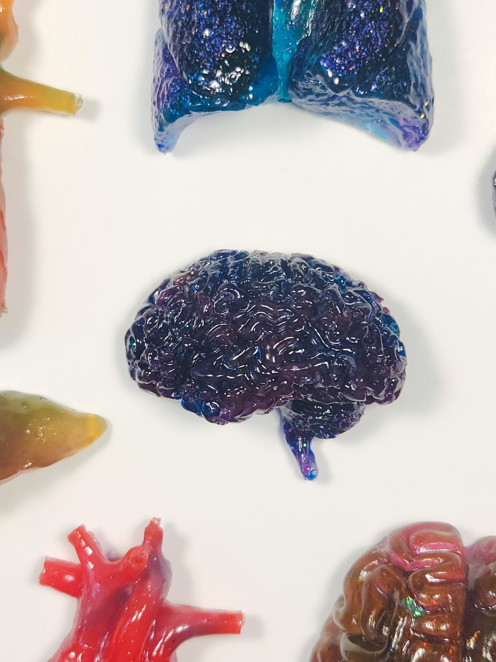 Glossy 3D resin brain colored deep dark blue with subtle swirls of purple, with other organ shaped magnets surrounding it.
