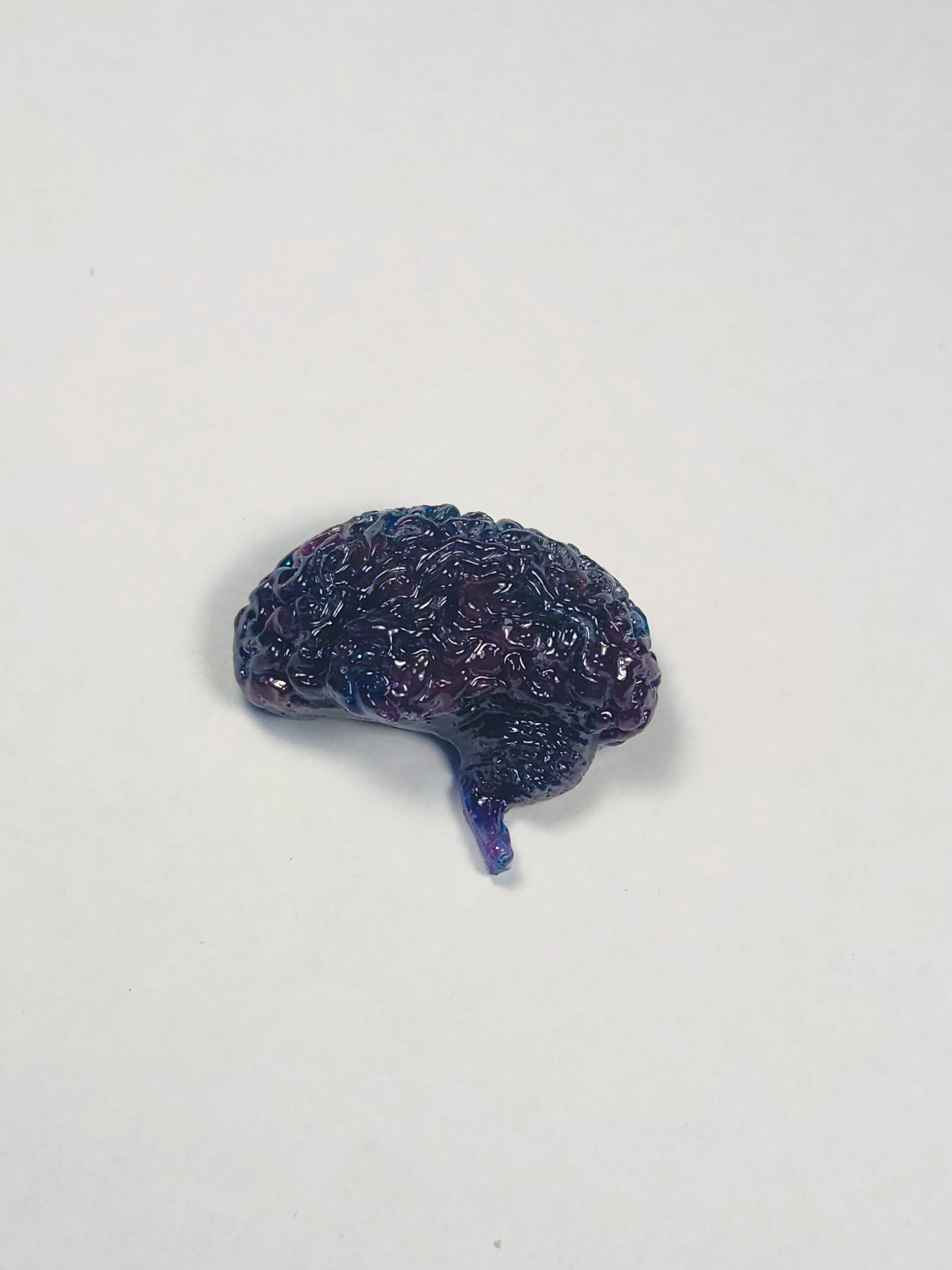 Glossy 3D resin brain colored deep dark blue with subtle swirls of purple