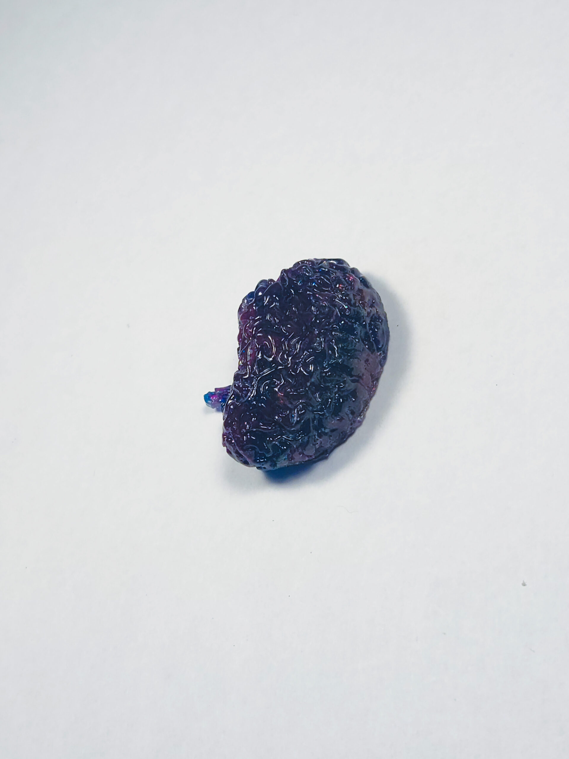 Photograph showing the top side of a resin brain shape colored deep dark blue and dark purple