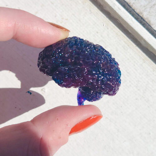 3D resin brain with a glossy sheen held out in the sun. Brain is dark deep blue with subtle swirls of purple