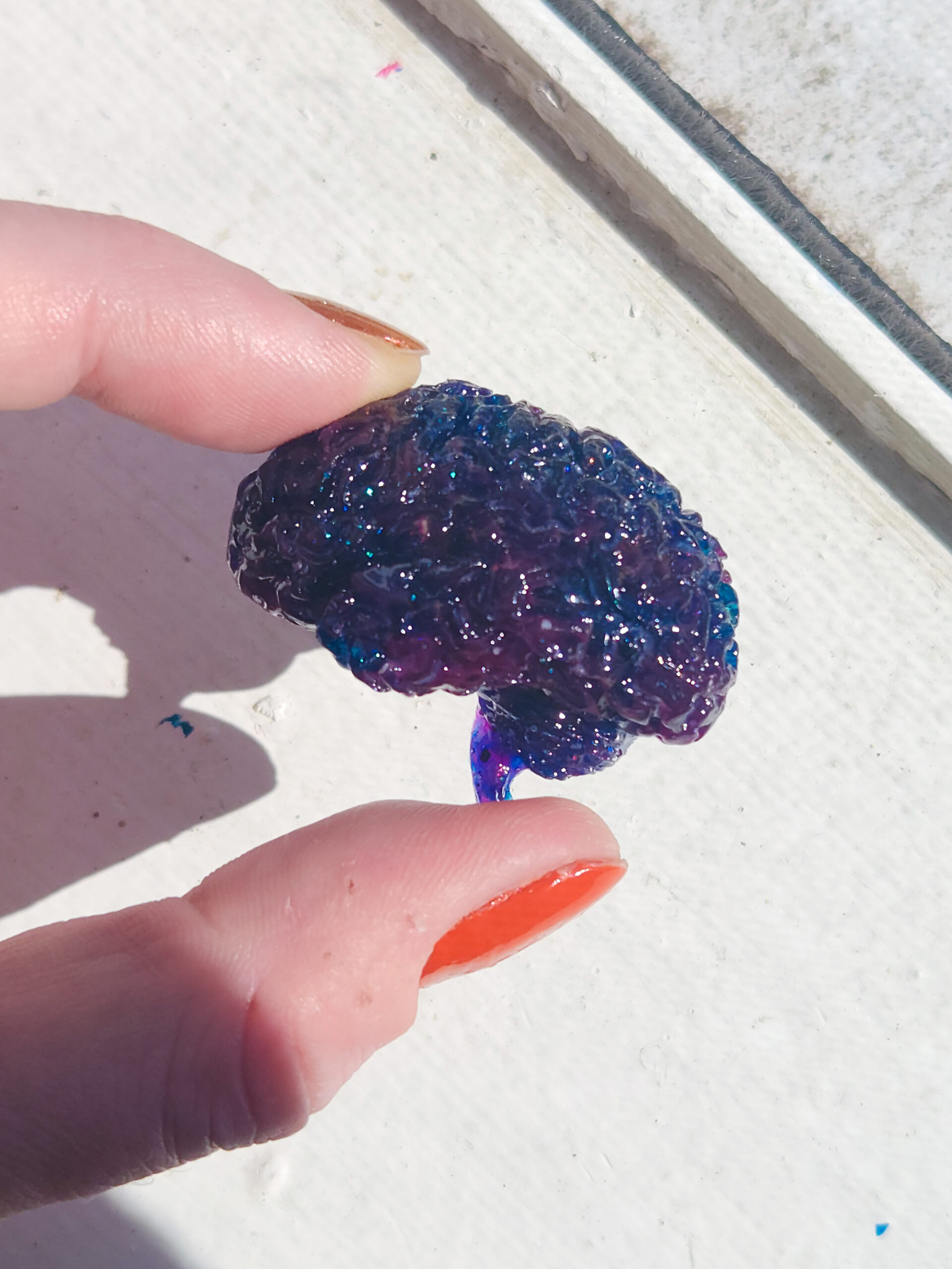 3D resin brain with a glossy sheen held out in the sun. Brain is dark deep blue with subtle swirls of purple