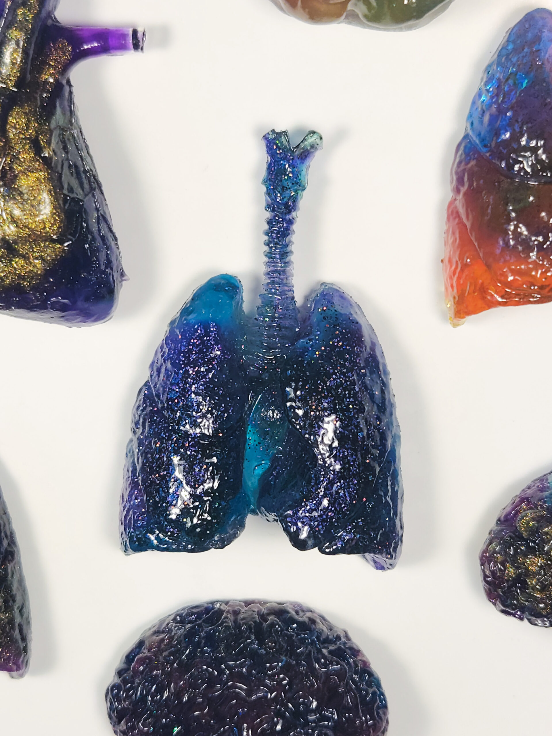 3D resin lungs in a glossy translucent blue and purple glitter color, surrounded by edges of other organ magnets