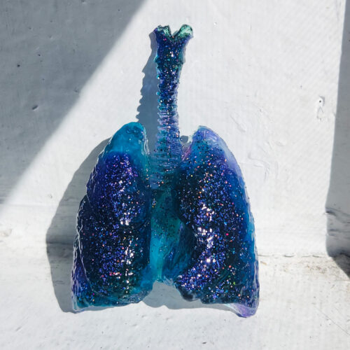 3D resin lungs with a glossy sheen propped against a window sill in the sun. Lungs and trachea are translucent bright blue and purple glitter