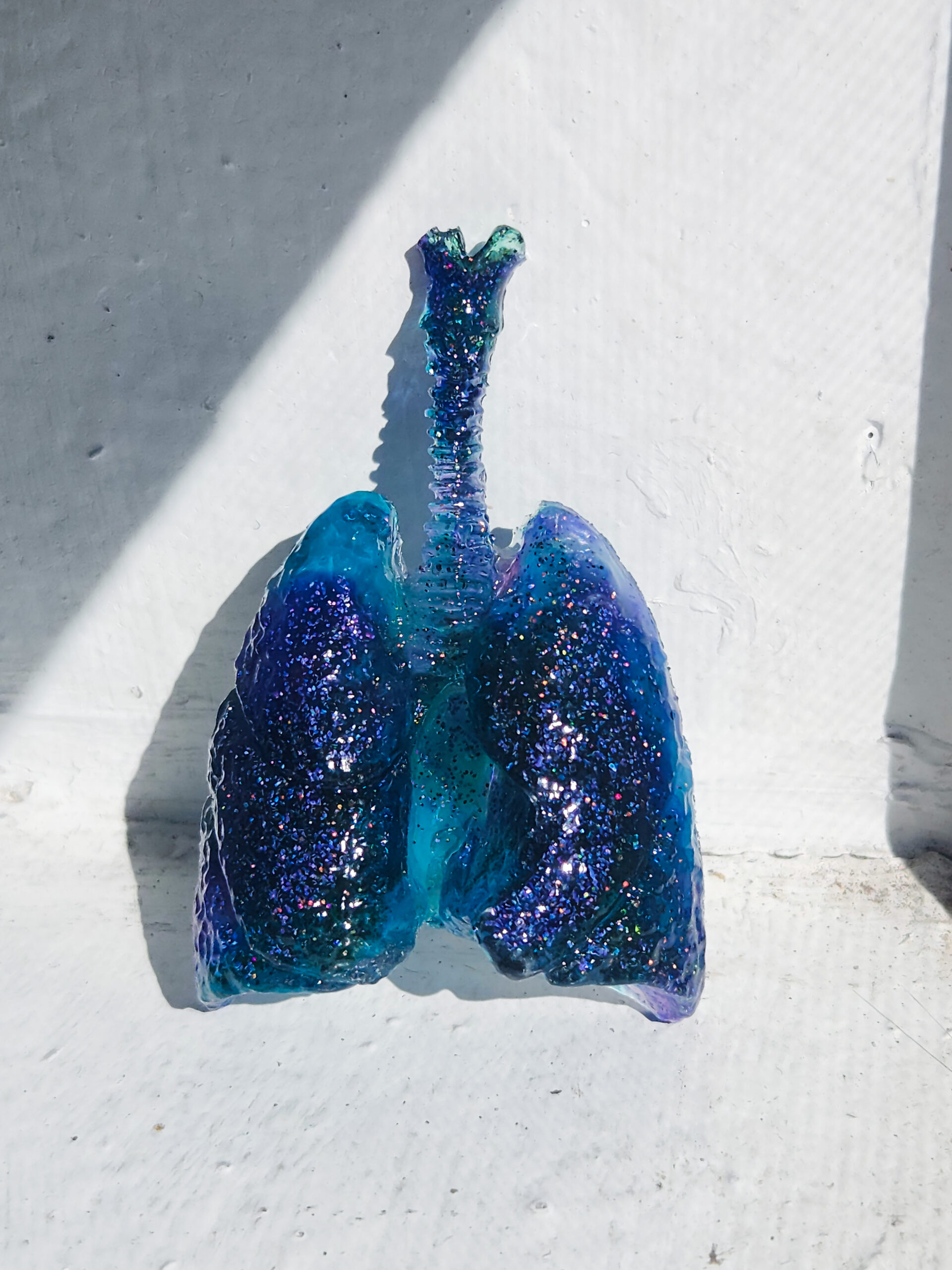 3D resin lungs with a glossy sheen propped against a window sill in the sun. Lungs and trachea are translucent bright blue and purple glitter